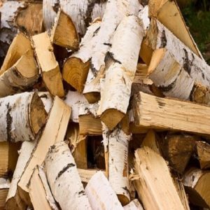 birch firewood